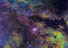 ic1318-pier2